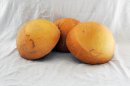 Mezza zucca Ø25-26 cm - Zucca semisferica