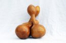 Zucca bottiglia Ø15-16 cm - Borraccia di zucca