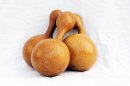 Zucca bottiglia Ø17-18 cm - Borraccia di zucca