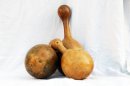 Zucca bottiglia Ø19-20 cm - Borraccia di zucca