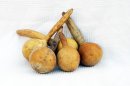 Zucca bottiglia Ø7-8 cm - Borraccia di zucca