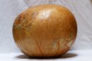 Zucca rotonda Ø59-60 cm - Zucca sferica