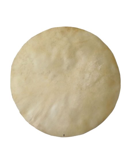 Pelle di cavallo depilata sottile per tamburo djembe L