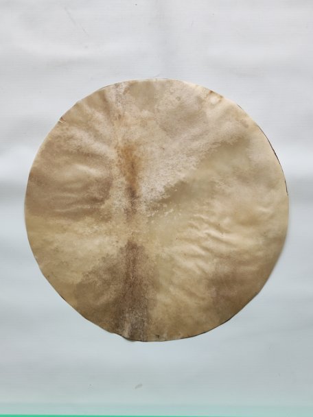 Pelle di cervo rasata per tamburo djembe