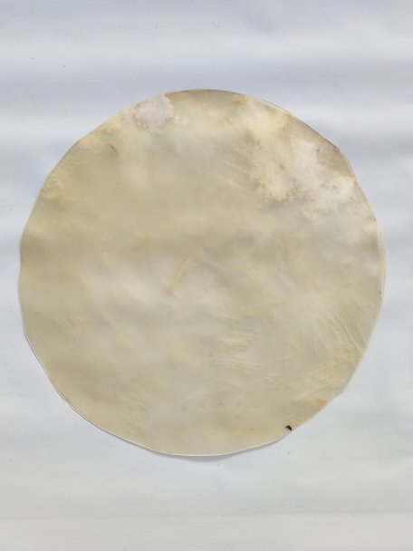 Pelle di cavallo grande molto sottile senza peli per tamburo djembe