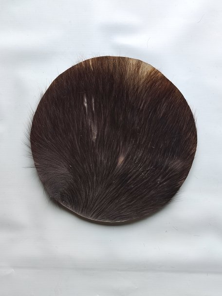 Piccola pelle di manzo, pelle di bufalo, pelle di toro o pelle di mucca spessa para tamburo djembe percussione