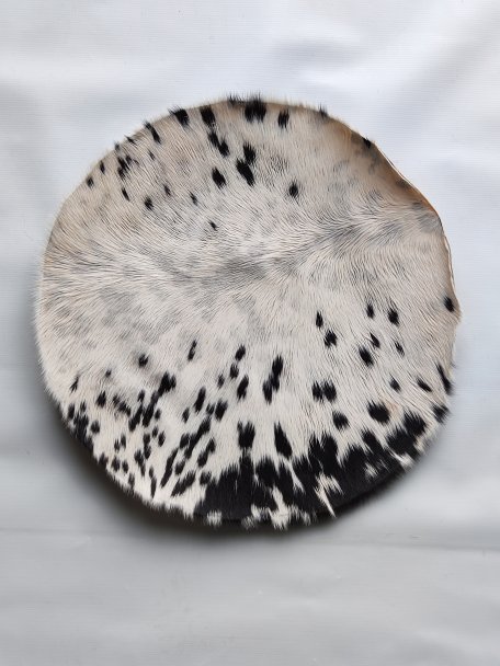 Pelle di vitello o piel di mucca sottile para tamburo djembe percussione