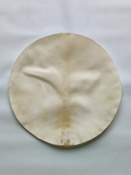 Pelle d'alce rasata molto spesse per tamburo djembe
