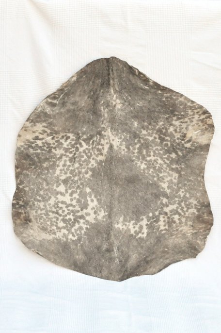 Pelle di capra del Sahel bianca macchiata - Pelle per tamburo djembe