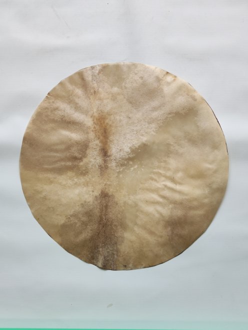 Pelle di cervo rasata per tamburo djembe
