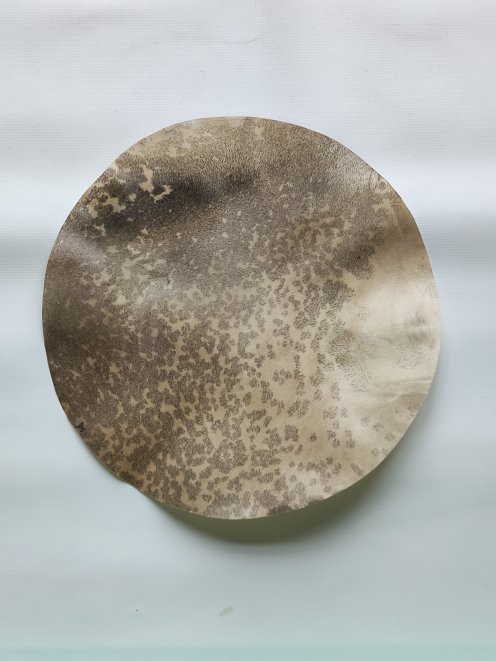 Piccola pelle di cervo rasata per tamburo djembe