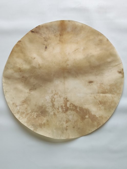 Pelle di cervo rasata molto grande per tamburo djembe percussione