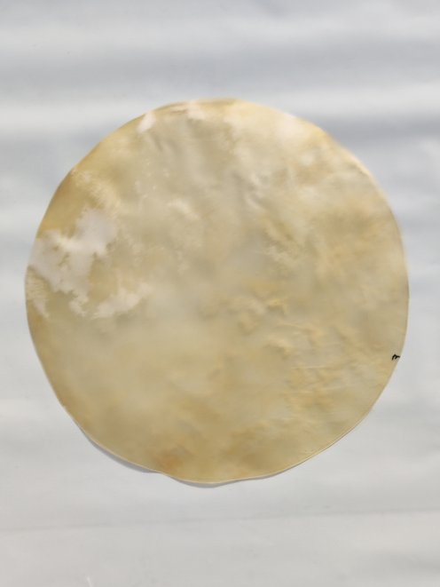 Pelle di cavallo grande senza peli per tamburo djembe