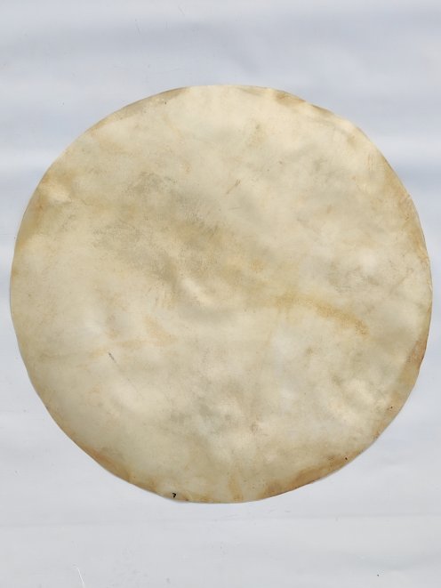 Pelle di cavallo molto grande senza peli per tamburo djembe