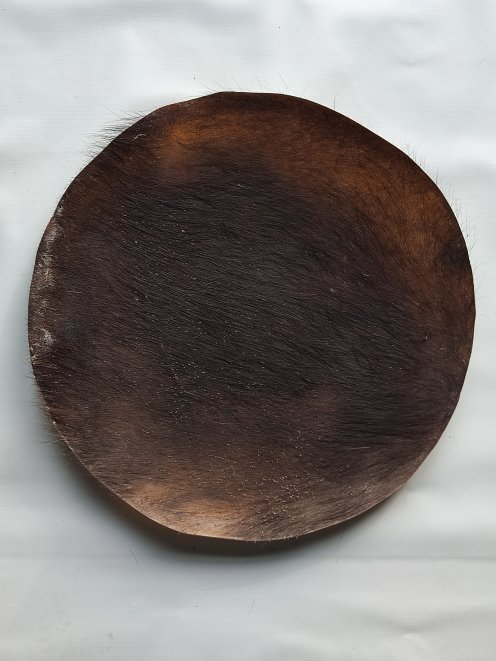 Grande pelle di manzo, pelle di bufalo, pelle di toro o pelle di mucca spessa para tamburo djembe percussione