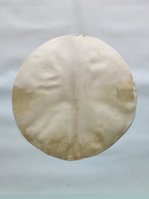 Pelle d'alce rasata per tamburo djembe