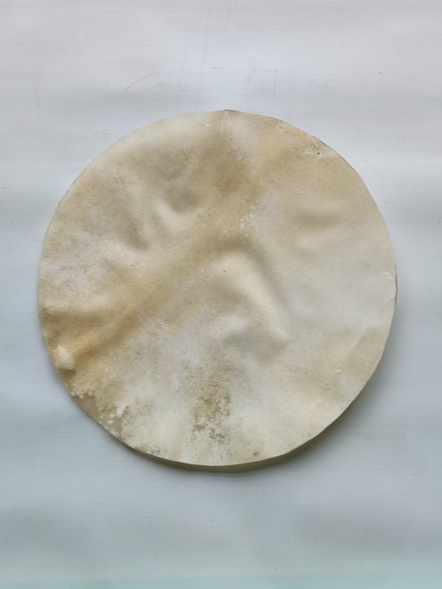 Piccola pelle d'alce rasata per tamburo djembe