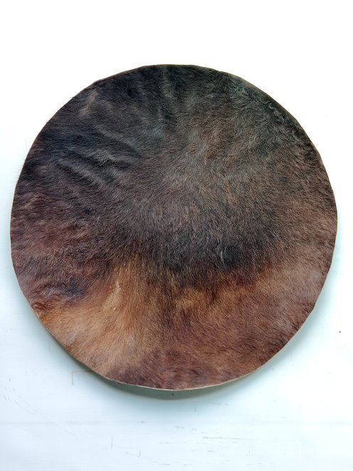 Pelle di cavallo grande con peli per tamburo djembe