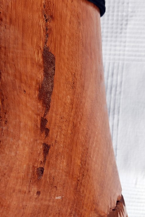 Djembe della Guinea in lenke - Djembe qualità superiore