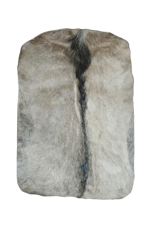 Pelle di capra del Sahel spessa con peli - Pelle per tamburo djembe
