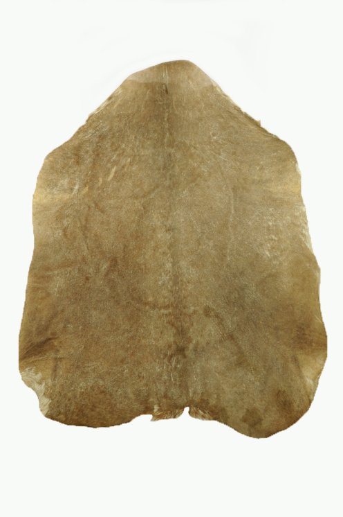 Pelle di capra del Sahel rasata molto spessa - Pelle per tamburo djembe