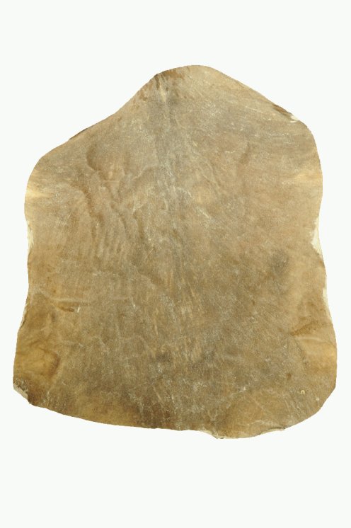 Pelle di capra del Sahel rasata molto spessa - Pelle per tamburo djembe
