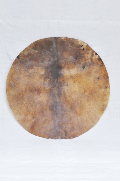 Pelle di cervo rasata spessa molto grande per tamburo djembe percussione