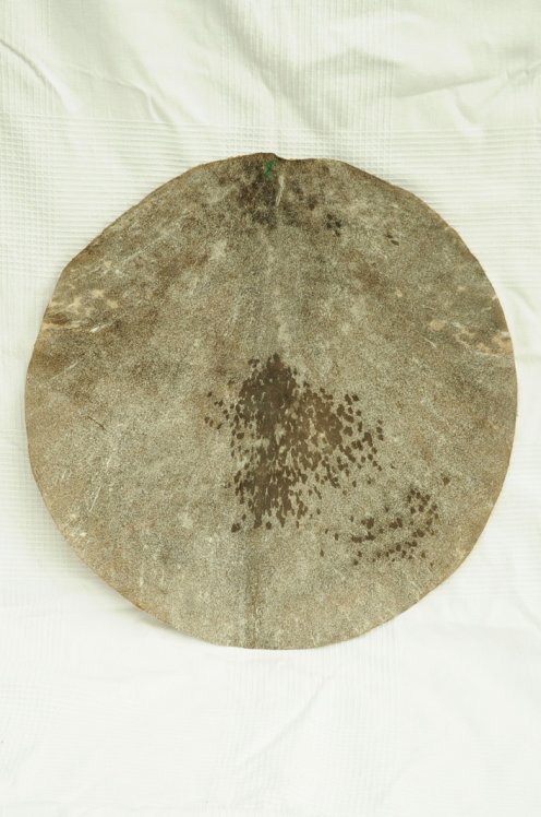 Taglio di pelle di capra per djembè rasata di spessore media - Pelle djembe tamburo