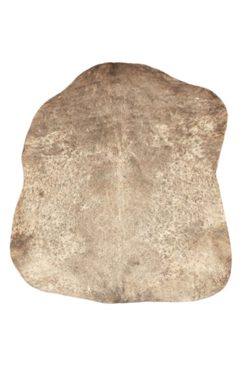 Pelle di capra del Sahel marrone screziata spessa - Pelle per tamburo djembe