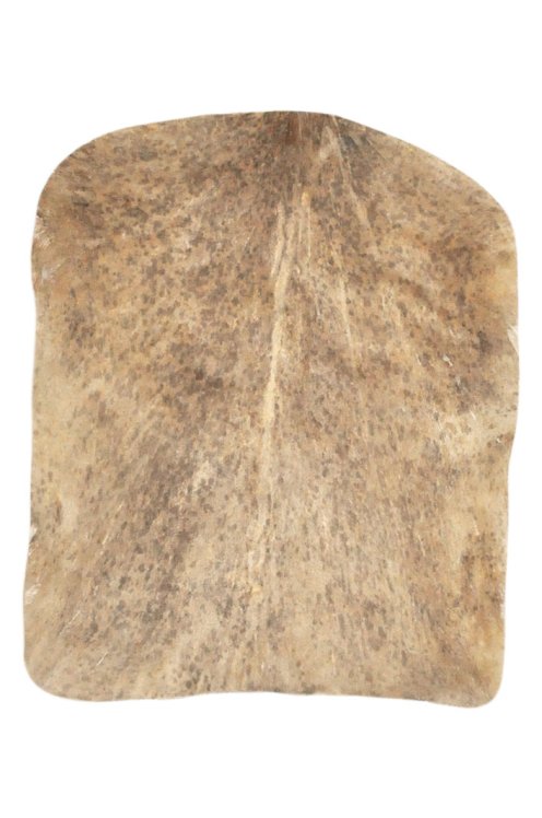 Pelle di capra del Sahel marrone screziata spessa - Pelle per tamburo djembe
