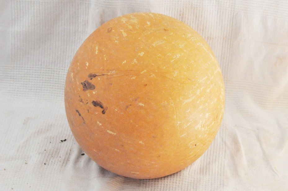 Zucca rotonda Ø55-56 cm - Zucca sferica