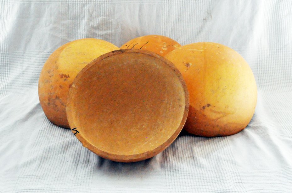 Mezza zucca Ø31-32 cm - Zucca semisferica
