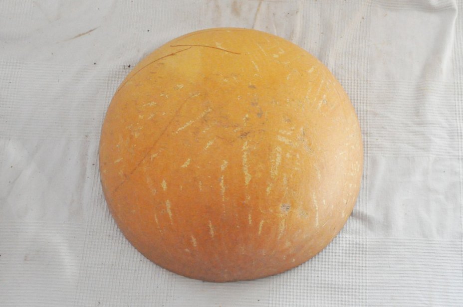 Mezza zucca Ø43-44 cm - Zucca semisferica