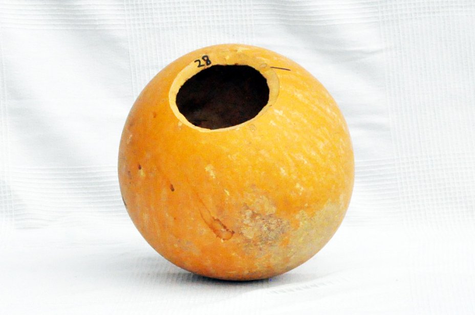 Zucca rotonda Ø27-28 cm - Zucca sferica