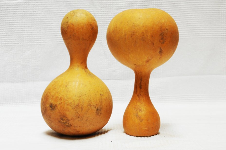 Zucca bottiglia Ø27-28 cm - Borraccia di zucca
