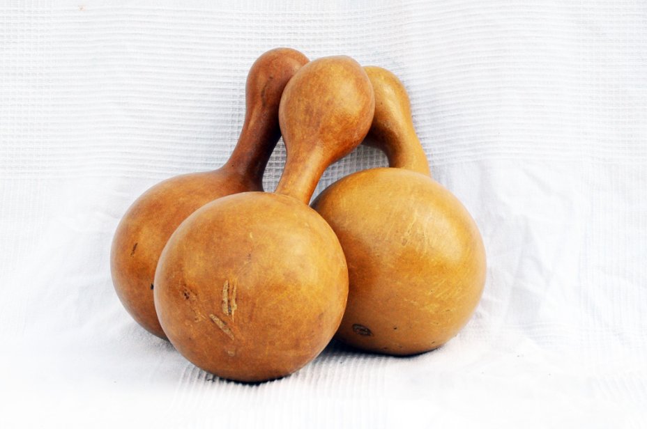 Zucca bottiglia Ø17-18 cm - Borraccia di zucca