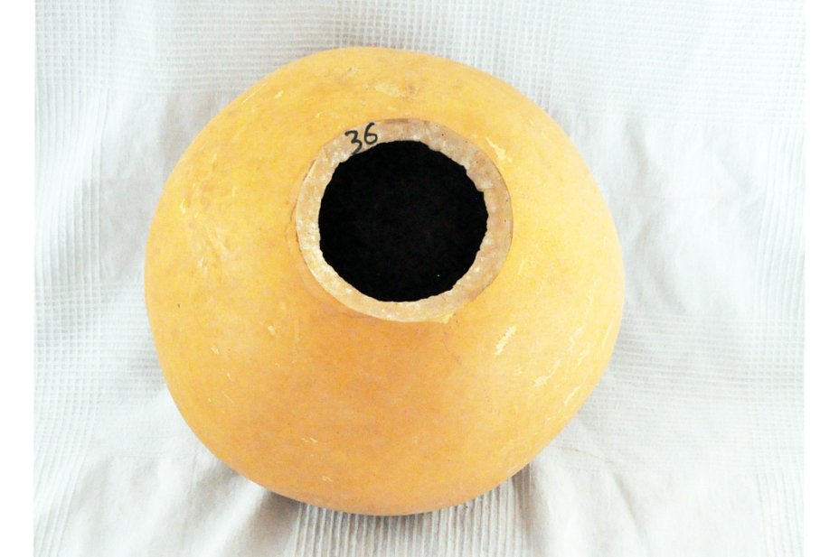 Zucca rotonda Ø35-36 cm - Zucca sferica