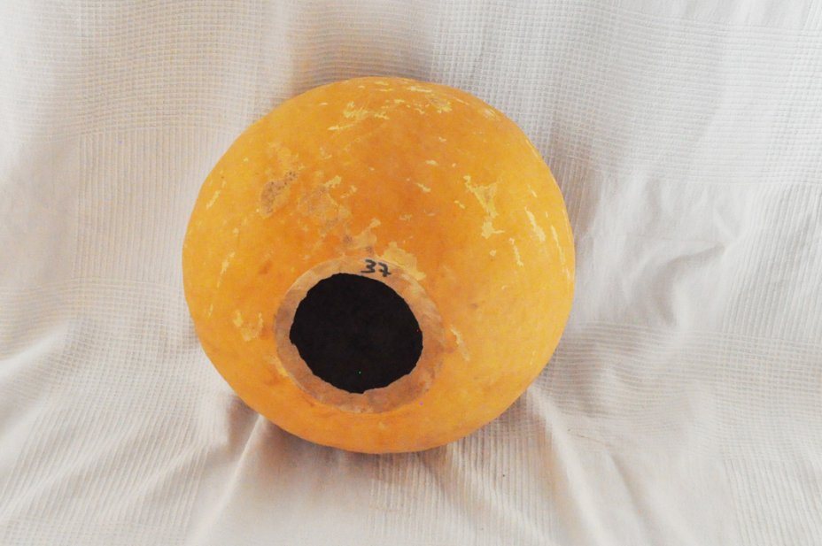 Zucca rotonda Ø37-38 cm - Zucca sferica