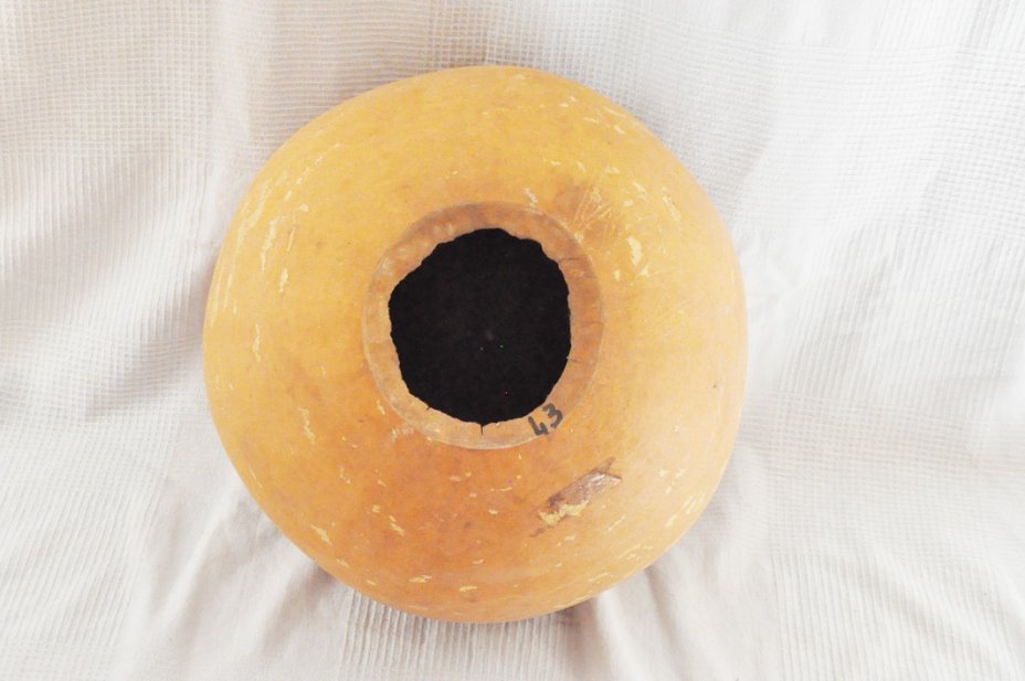Zucca rotonda Ø43-44 cm - Zucca sferica