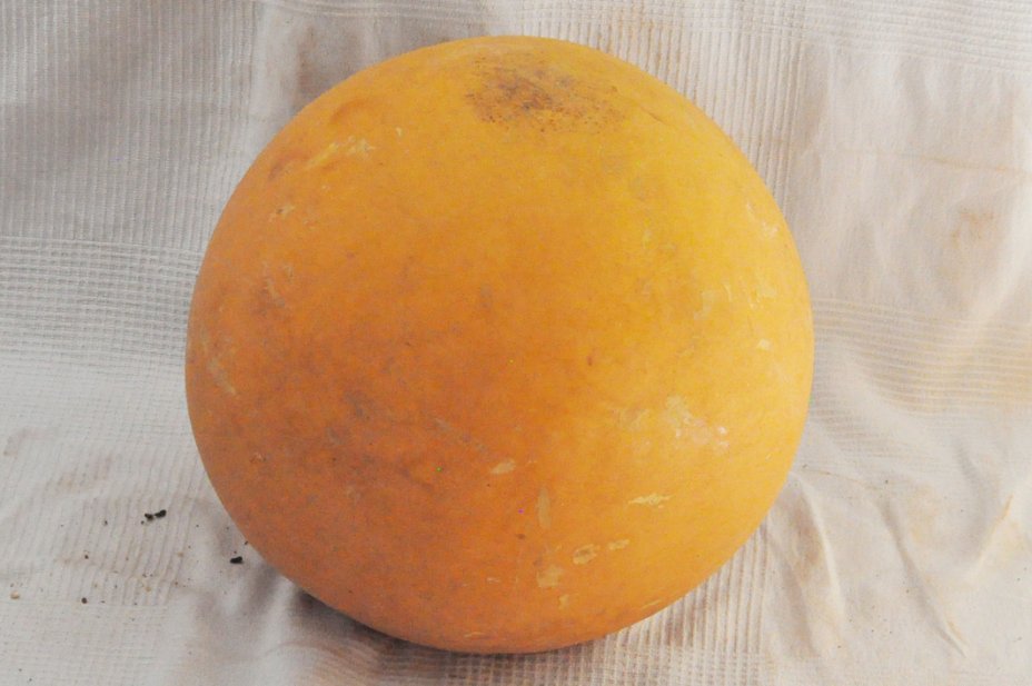 Zucca rotonda Ø53-54 cm - Zucca sferica