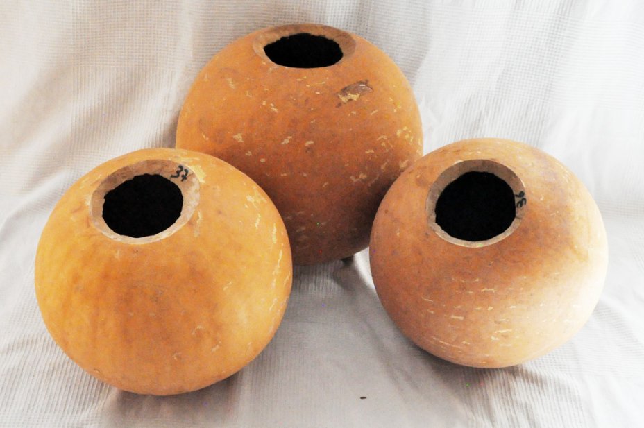 Zucca rotonda Ø37-38 cm - Zucca sferica