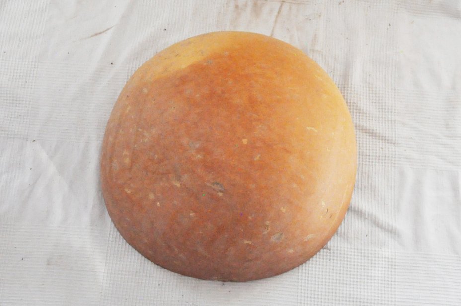 Mezza zucca Ø37-38 cm - Zucca semisferica