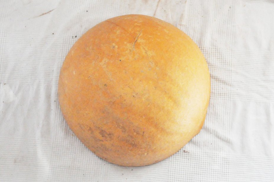 Mezza zucca Ø39-40 cm - Zucca semisferica