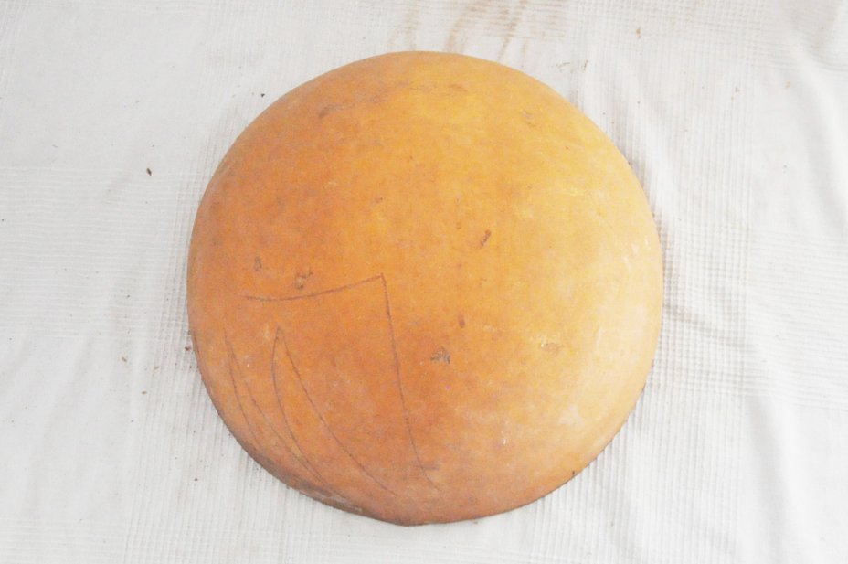Mezza zucca Ø49-50 cm - Zucca semisferica