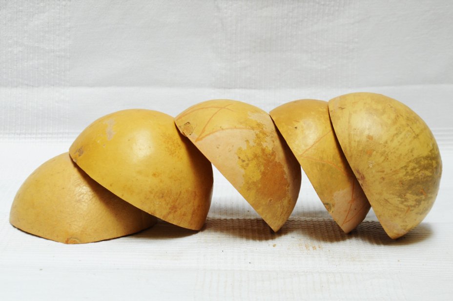 Mezza zucca Ø13-14 cm - Zucca semisferica