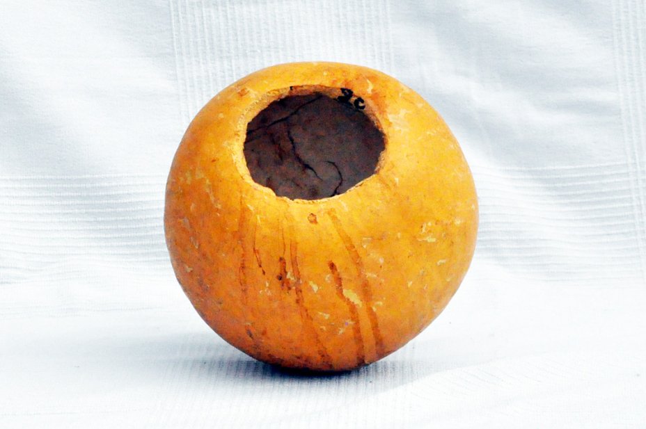 Zucca rotonda Ø19-20 cm - Zucca sferica