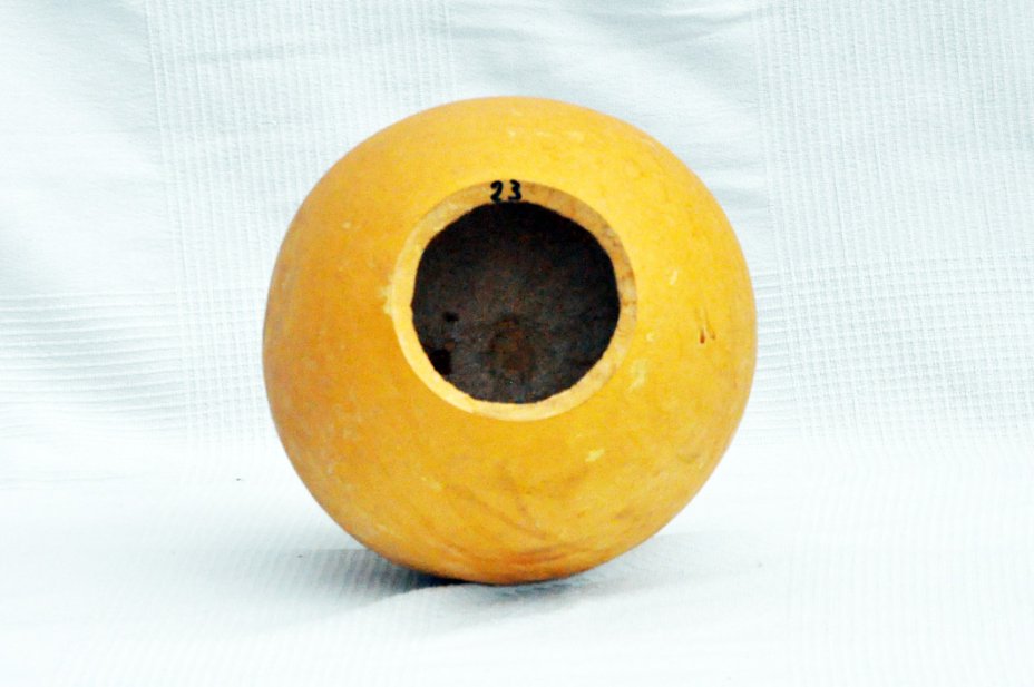 Zucca rotonda Ø23-24 cm - Zucca sferica
